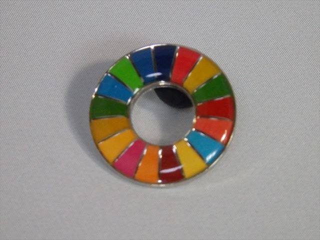 【A】ニューヨーク国連本部入手　SDGs スペシャルセット imgrc0091769370.jpg