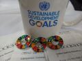 国際連合SDGｓピンバッジ各種
