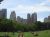 写真撮ＮＹ-2