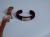 Velvet Cuff Bracelet By Lenora Dame Red　ＭＥＴ　ＭＴＡ17