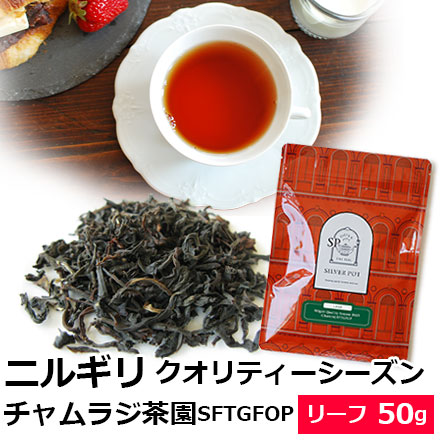 チャチャチャ　抹茶6枚 CBG5枚 チャチャチャ様専用 抹茶6枚 CBG5枚