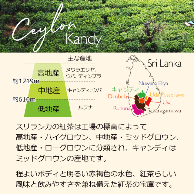 セイロンキャンディクレイグヘッド茶園