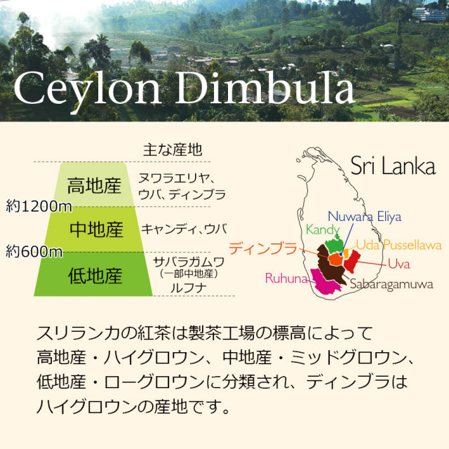 セイロンディンブラ