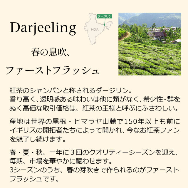 ダージリンファーストフラッシュ