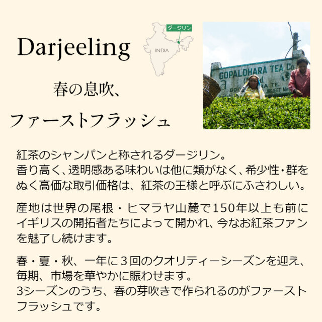 ダージリンファーストフラッシュ