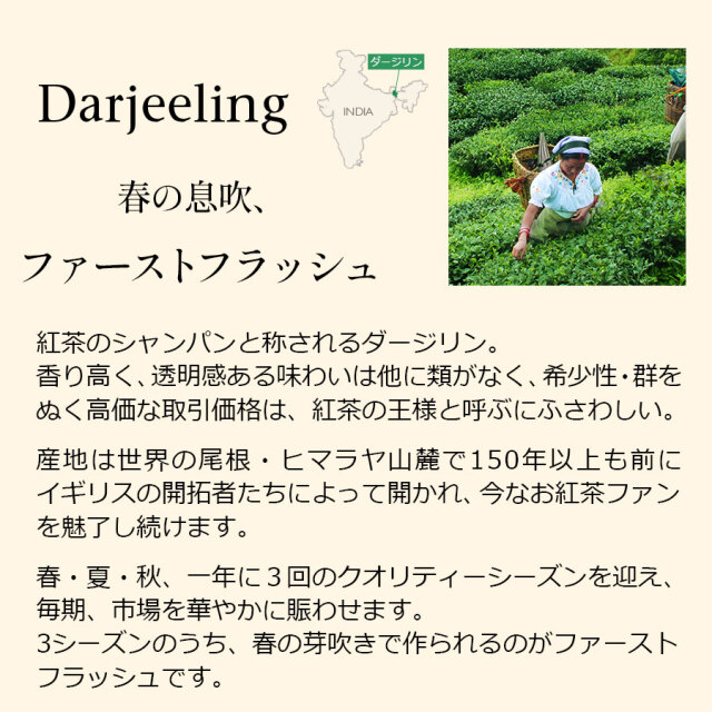 ダージリンファーストフラッシュ