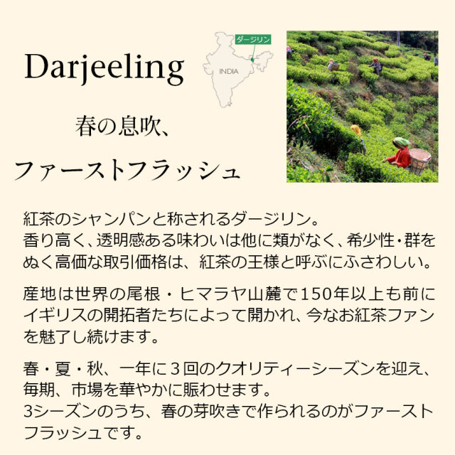 ダージリンファーストフラッシュ