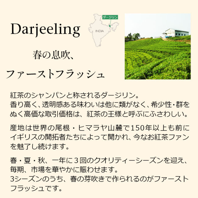 ダージリンファーストフラッシュ