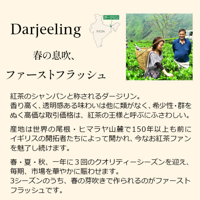 ダージリンファーストフラッシュ