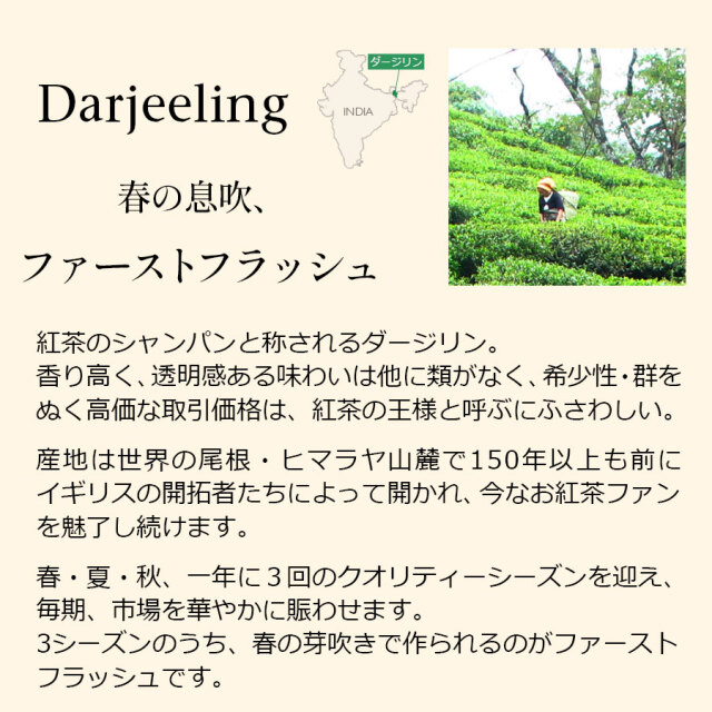 ダージリンファーストフラッシュ