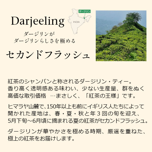 ダージリンセカンドフラッシュ