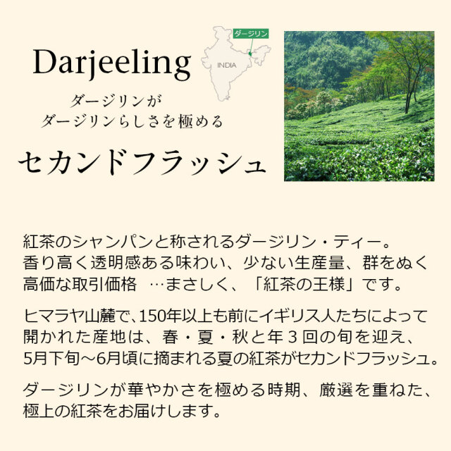 ダージリンセカンドフラッシュ