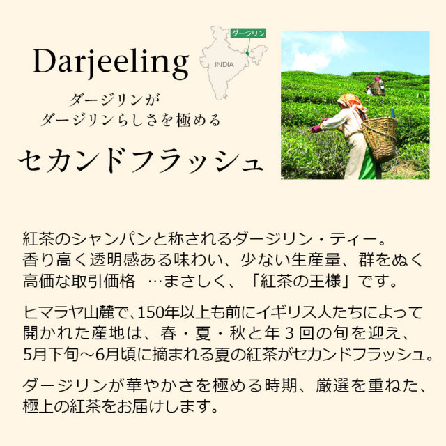 ダージリンセカンドフラッシュ