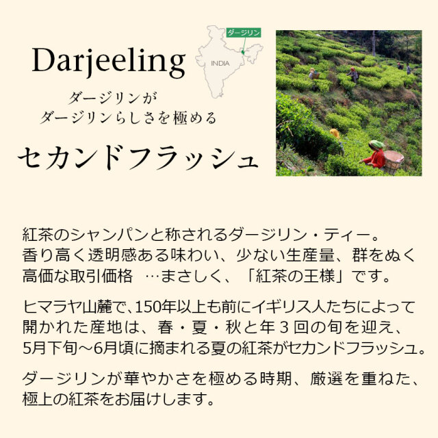 ダージリンセカンドフラッシュ