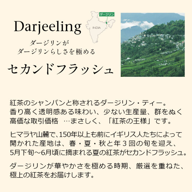 ダージリンセカンドフラッシュ