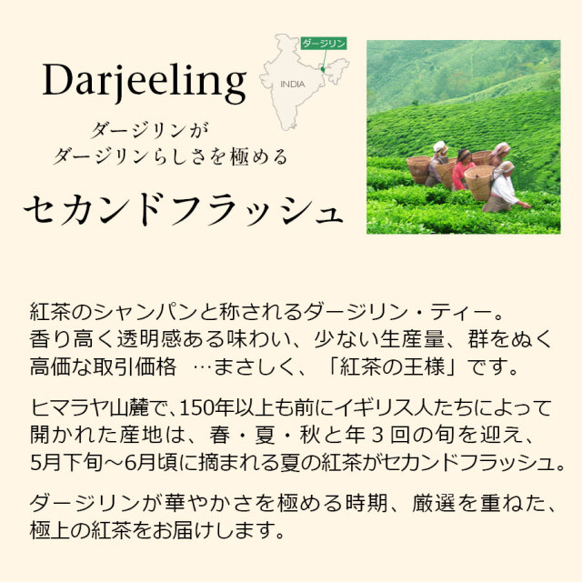 ダージリンセカンドフラッシュ