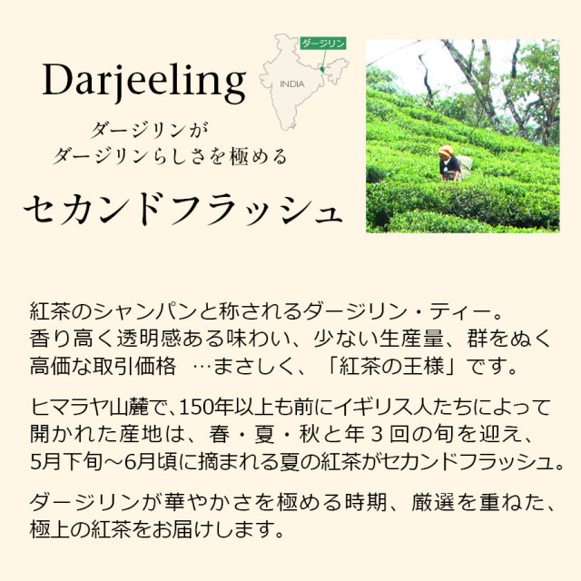 ダージリンセカンドフラッシュ