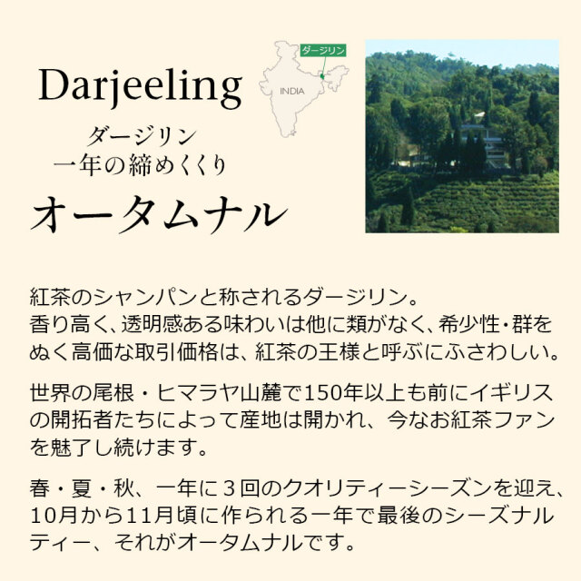 ダージリンオータムナル