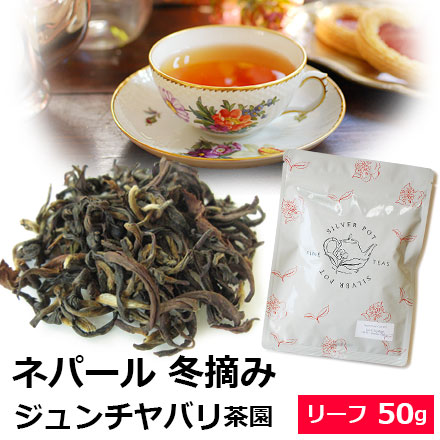 ネパール・ジュンチヤバリ茶園冬摘み