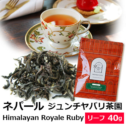 ネパール・ジュンチヤバリ茶園