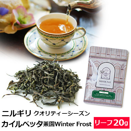 紅茶 茶葉 ニルギリ クオリティーシーズン 2025年 カイルベッタ茶園