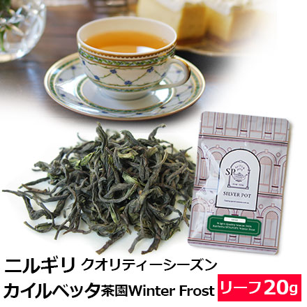 ニルギリ・カイルベッタ茶園