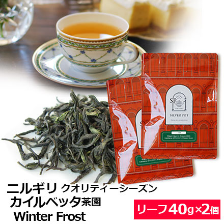 ニルギリ・カイルベッタ茶園