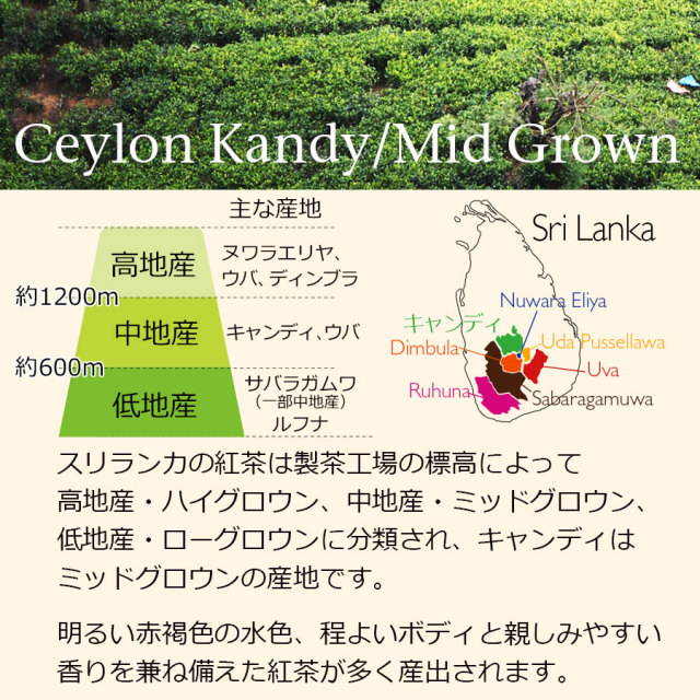 セイロンキャンディ