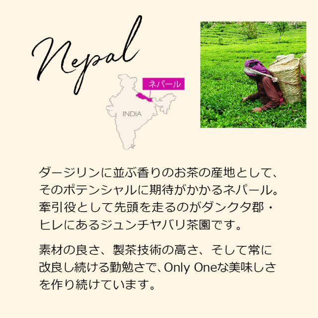 ネパールジュンチヤバリ茶園