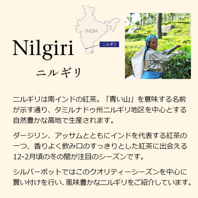 ニルギリ紅茶