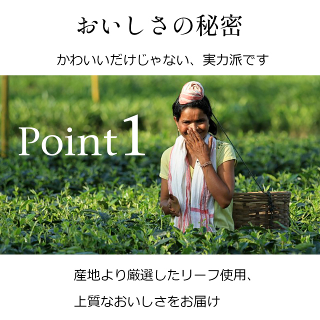 紅茶のプチギフトプチボヌール