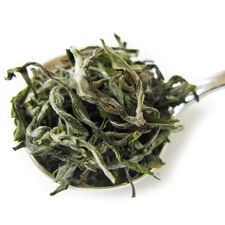 ダージリンファーストフラッシュ