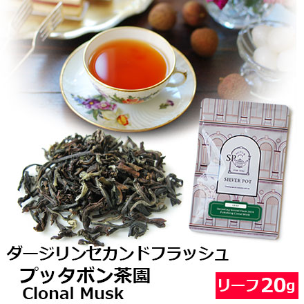 ダージリンセカンドフラッシュ