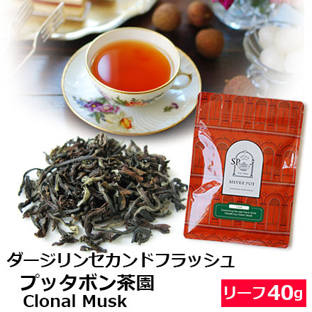 送料無料ライン対応ショップ限定キャンペーン 紅茶 茶葉 ダージリン セカンドフラッシュ 2024年 プッタボン 茶