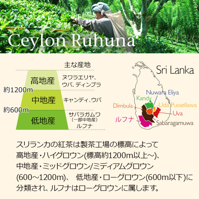 セイロンルフナ
