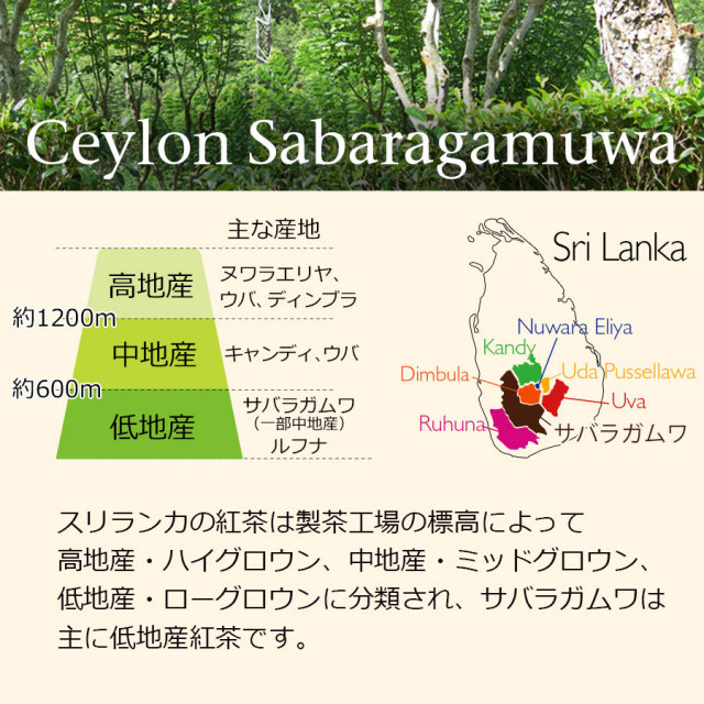 セイロンサバラガムワ