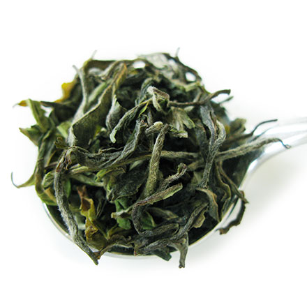 紅茶 茶葉 ダージリン ファーストフラッシュ 2024年 サマビオン茶園
