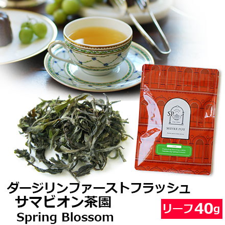 ダージリンファーストフラッシュ