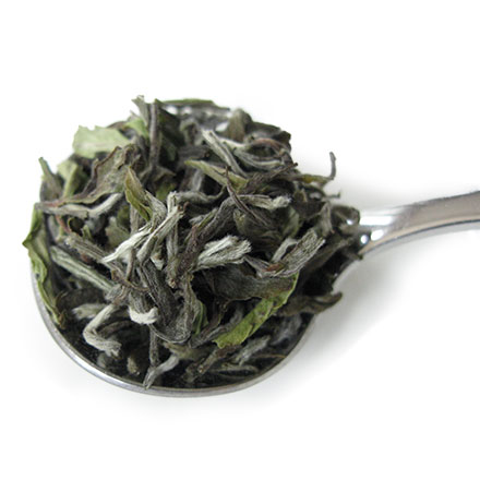 紅茶 茶葉 ダージリン ファーストフラッシュ 2026年 シーヨック茶園