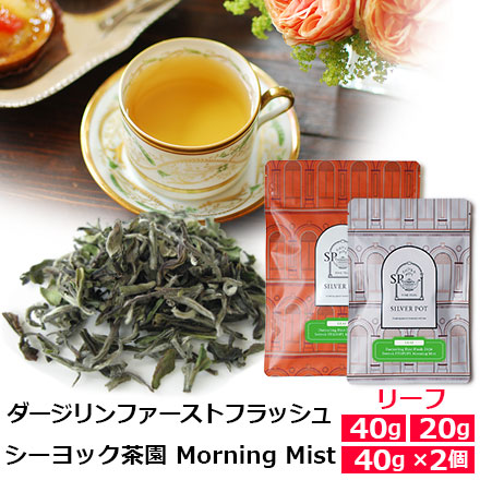 ダージリンファーストフラッシュ