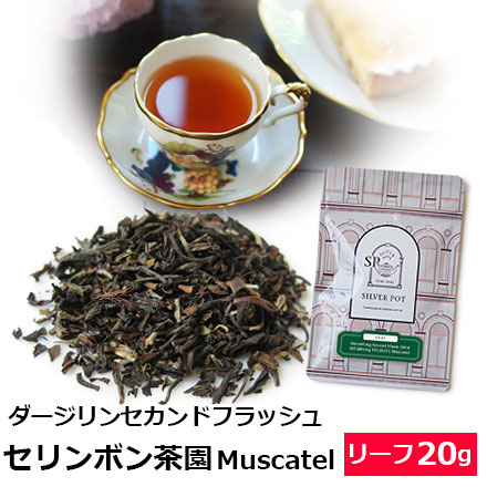 ダージリンセカンドフラッシュ