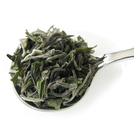 紅茶 茶葉 ダージリン ファーストフラッシュ 2026年 シンブリ茶園