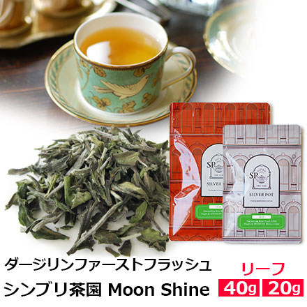 紅茶専門店 シルバーポット