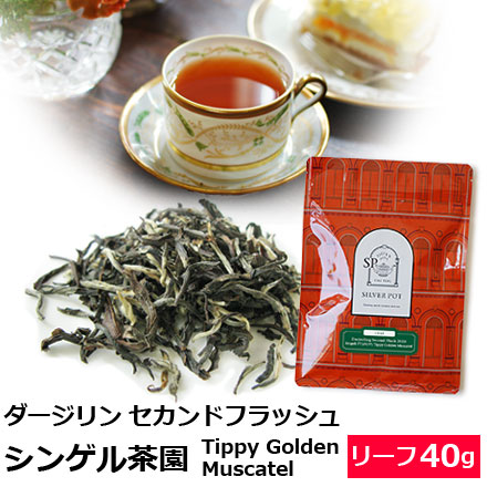 紅茶 茶葉 ダージリン セカンドフラッシュ 2025年 シンゲル茶園