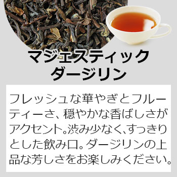 マジェスティックダージリン