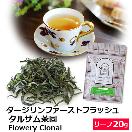 ダージリンファーストフラッシュ