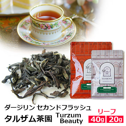 ダージリンファーストフラッシュタルザム茶園
