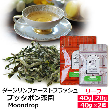 紅茶 ダージリンF.O.P.（茶葉） | 商品詳細 | 高島屋オンライン