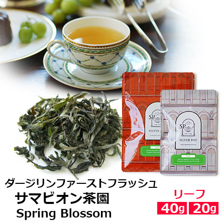 紅茶 茶葉 ダージリン ファーストフラッシュ 2024年 サマビオン茶園