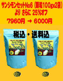 新キャンペーン　セット6番